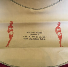 Load image into Gallery viewer, Lingerie or Clothespin Bag