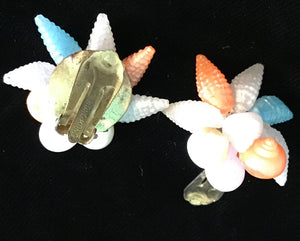Multicolored Fanned Shells